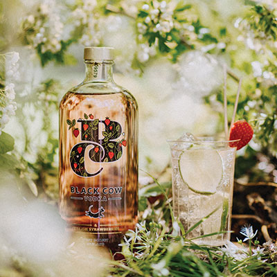 Black Cow Vodka